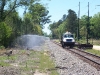 crossing-11
