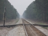 crossing-19