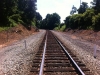 crossing-5_1