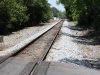 crossing-6